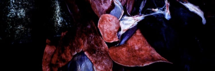 Sikost's profile banner image