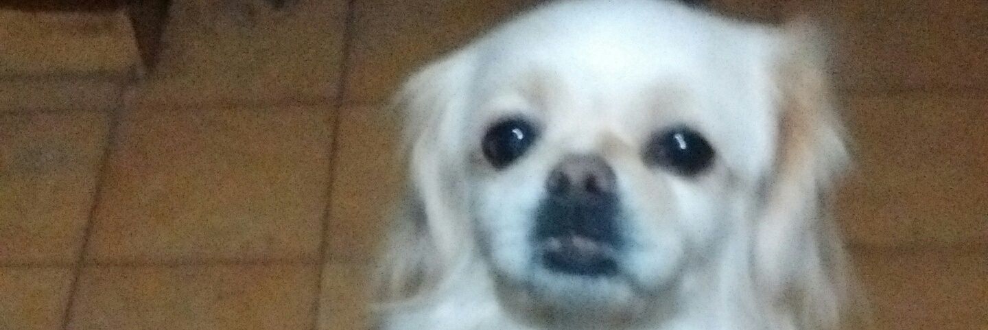 luisalbertocok's profile banner image