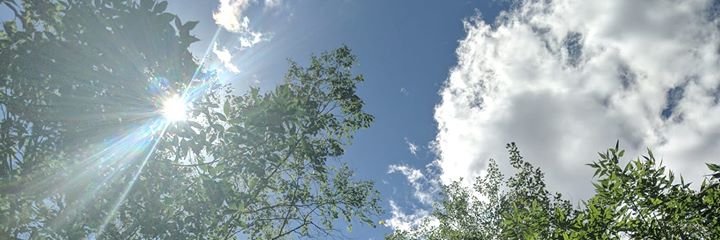 SNikolejsin's profile banner image