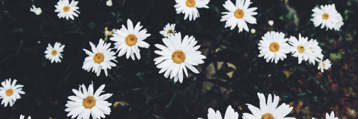 KatyEdge's profile banner image