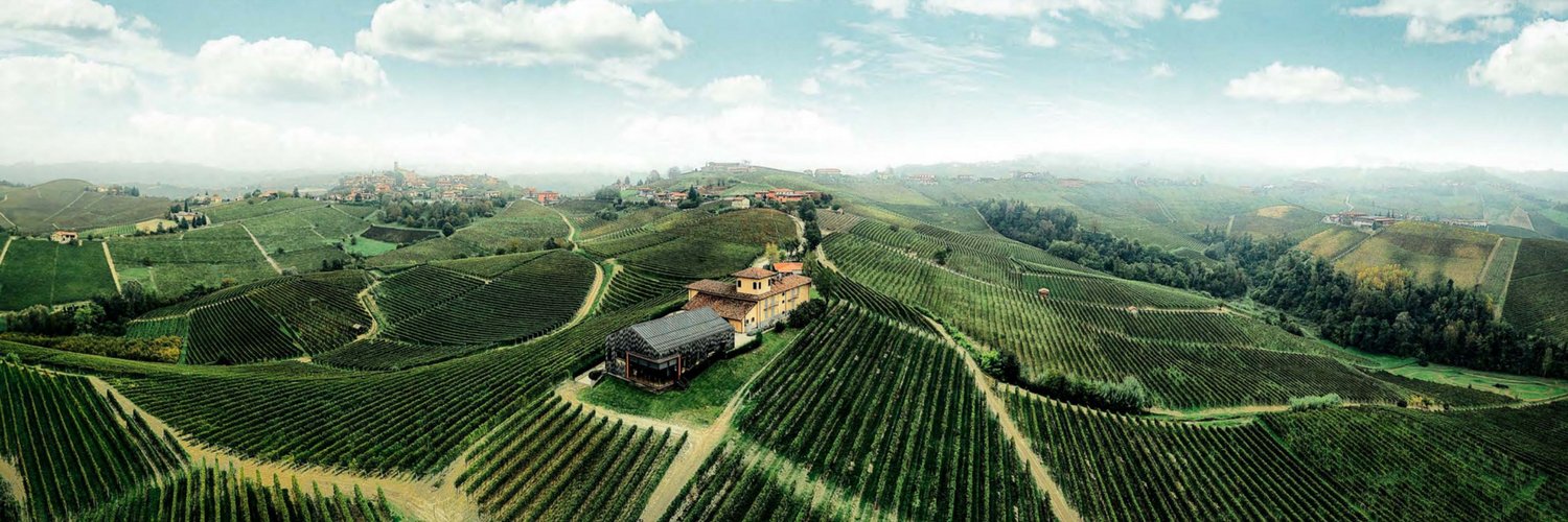 Boroli Vini banner