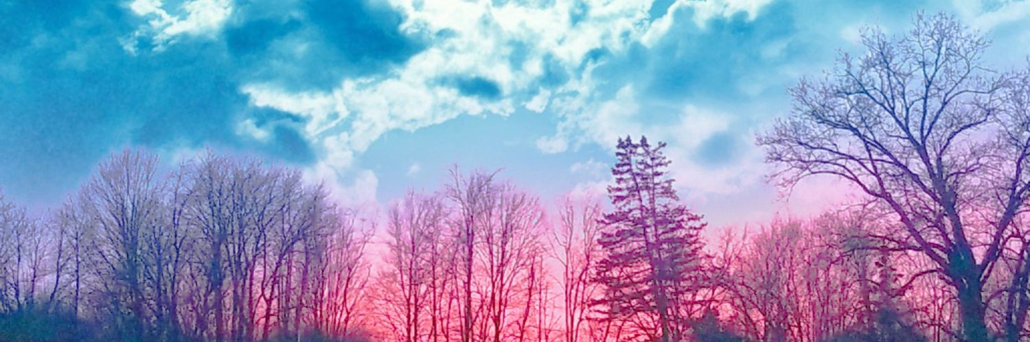 lecofresh's profile banner image