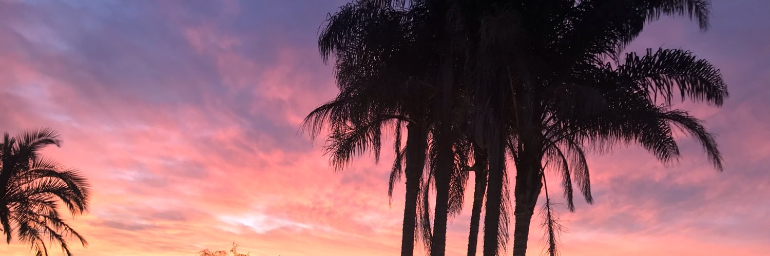 MegTerrySD's profile banner image
