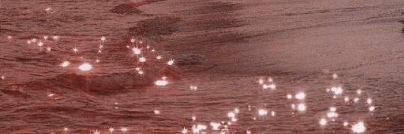 SephoraBeauty_'s profile banner image