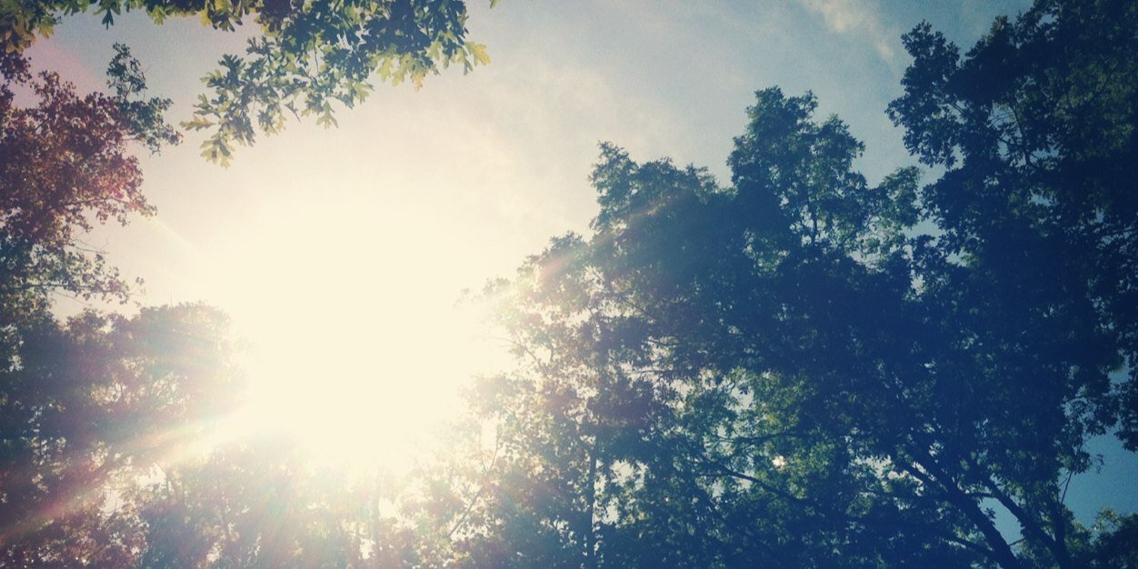 LaurenCFarmer's profile banner image
