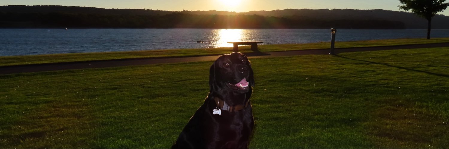sshanonz's profile banner image