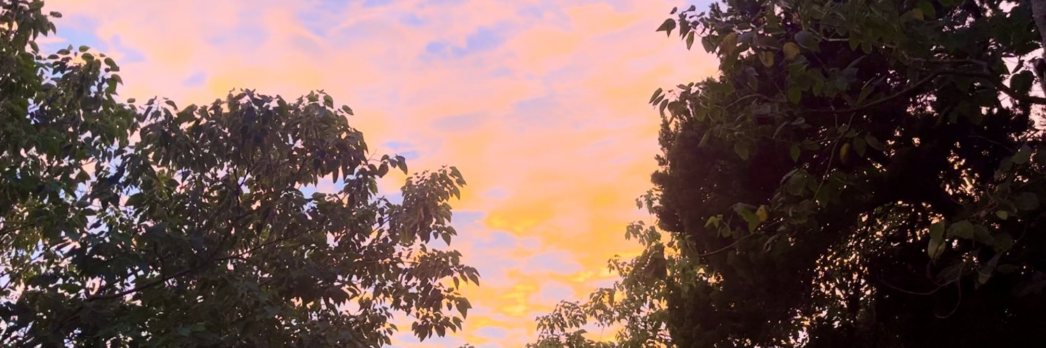 soIisoli's profile banner image