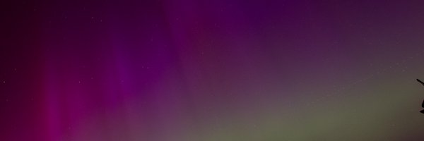 TanjaWho Profile Banner