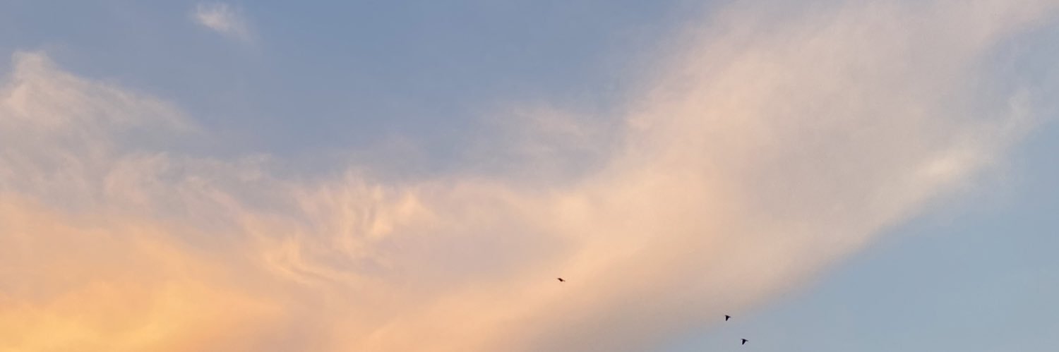 ashleyvensel's profile banner image