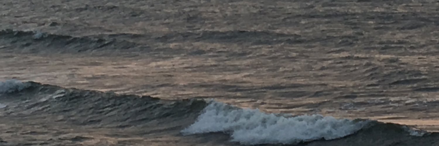 Matilde9495's profile banner image