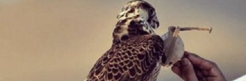 ابوعبدالله الشمالي banner