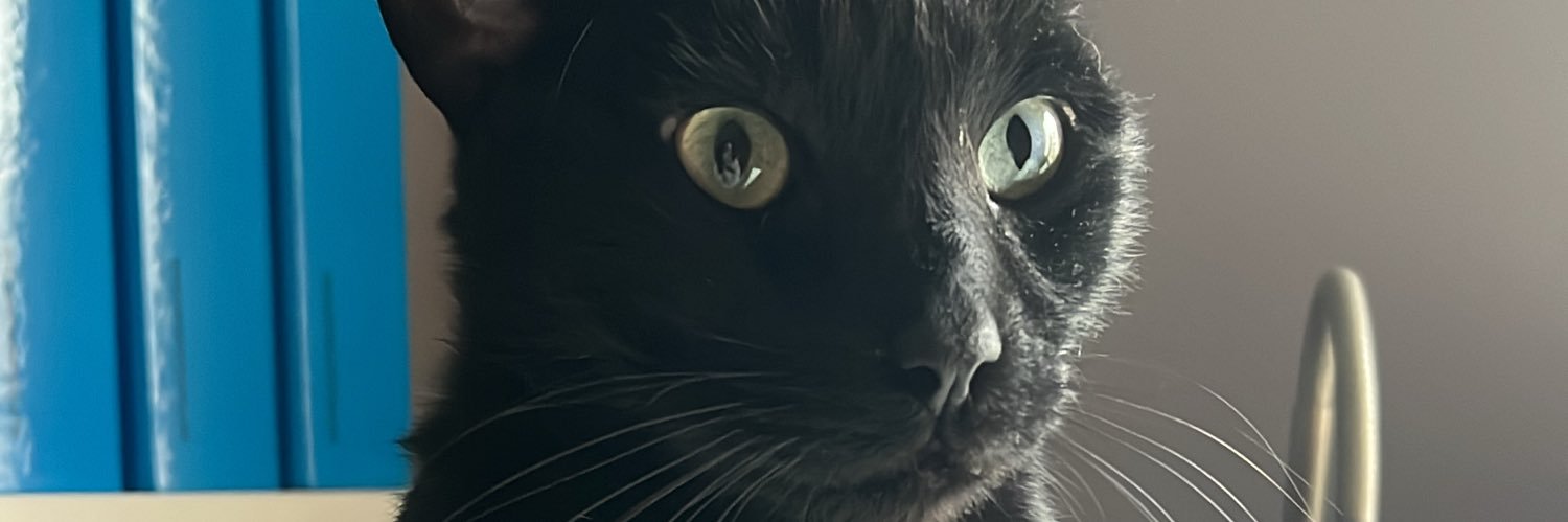 violetarr7's profile banner image