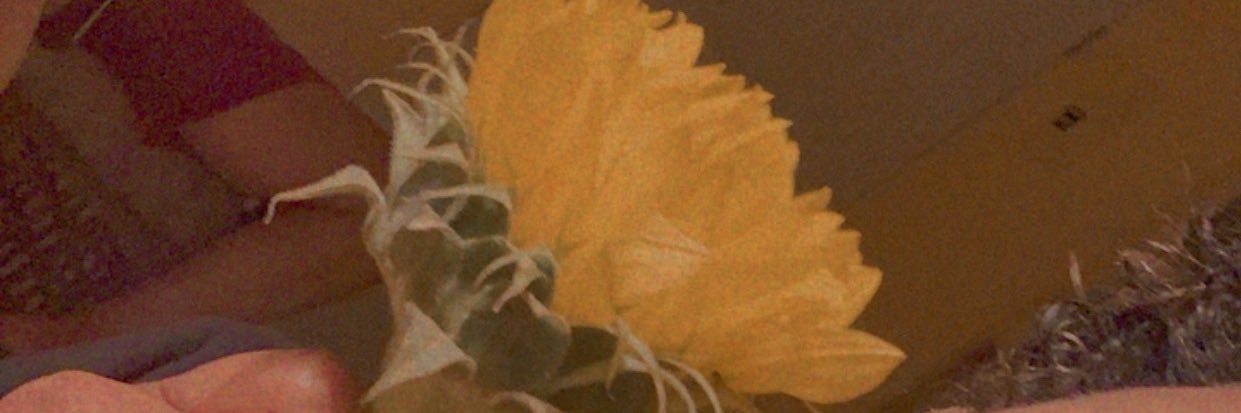 franelly21's profile banner image