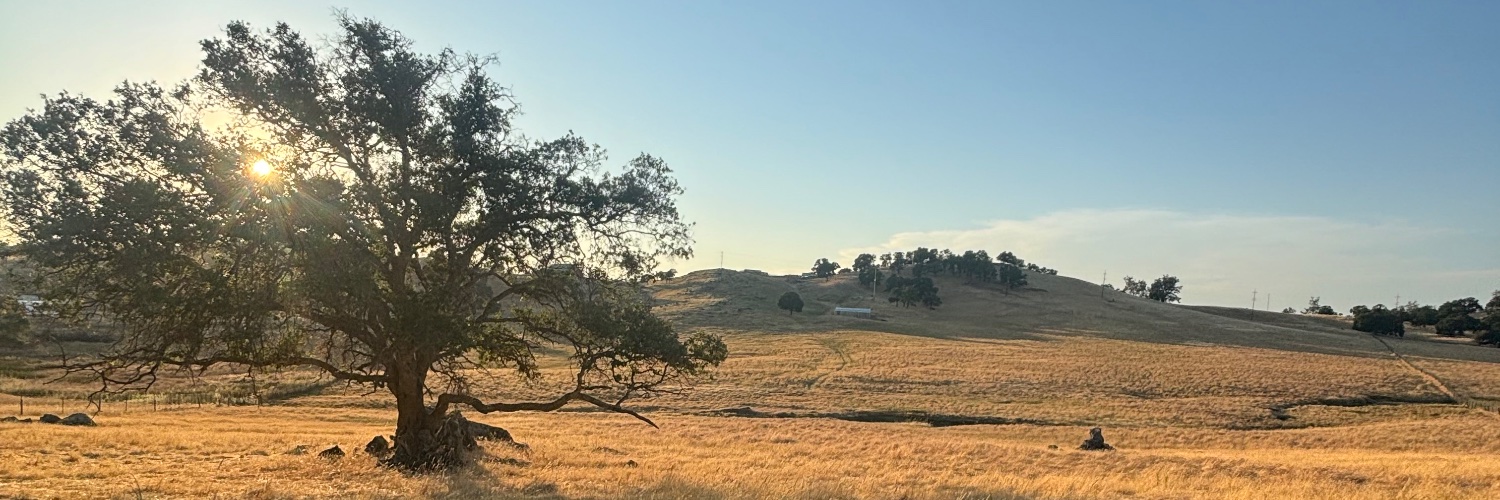 jc_otf's profile banner image