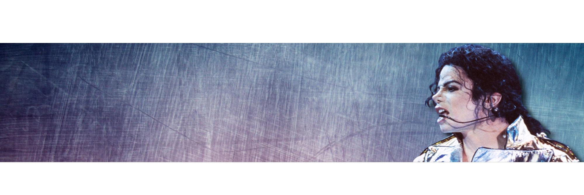 Michelle Silverfox banner