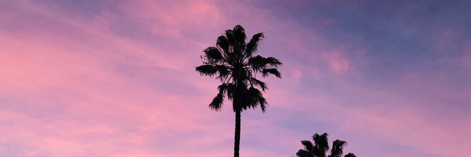 sf_tech_bro's profile banner image