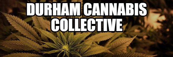 420DCC's profile banner image