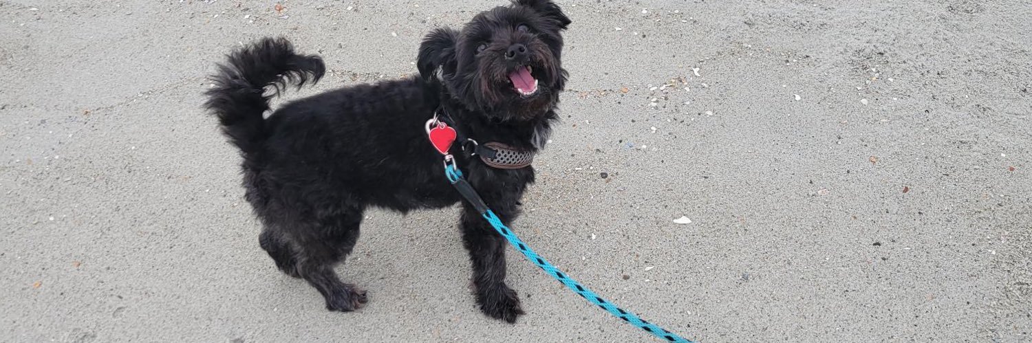 Julie Kubiak/Diamond banner