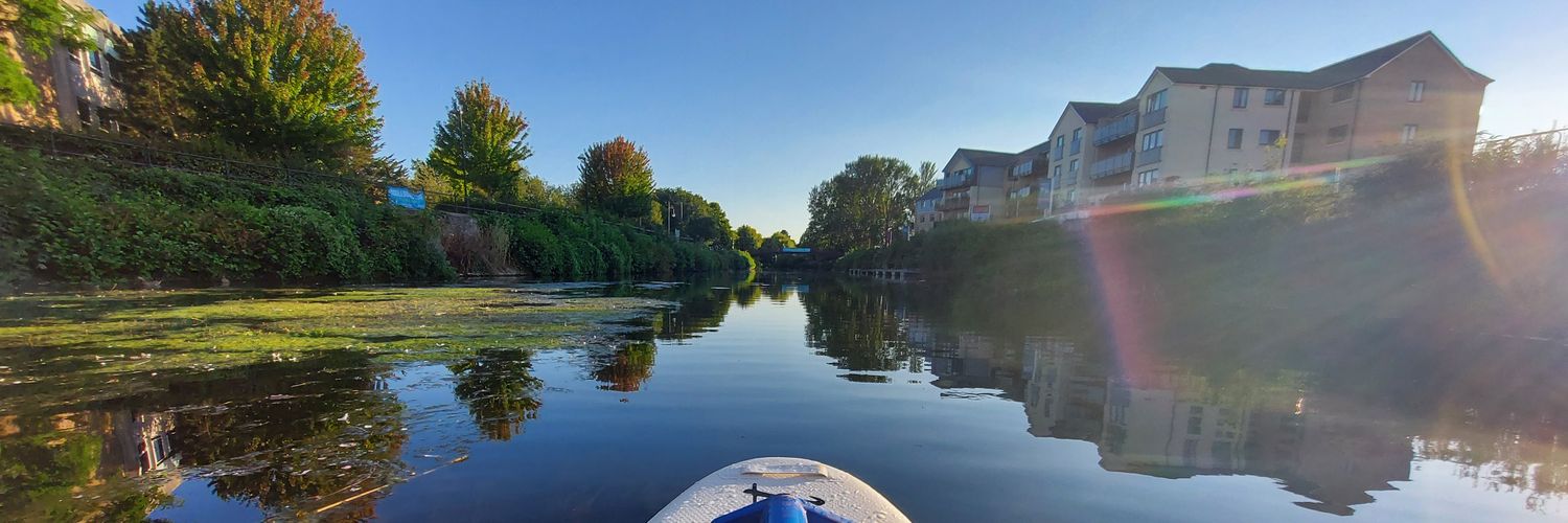 Bethan 🦥💜 banner