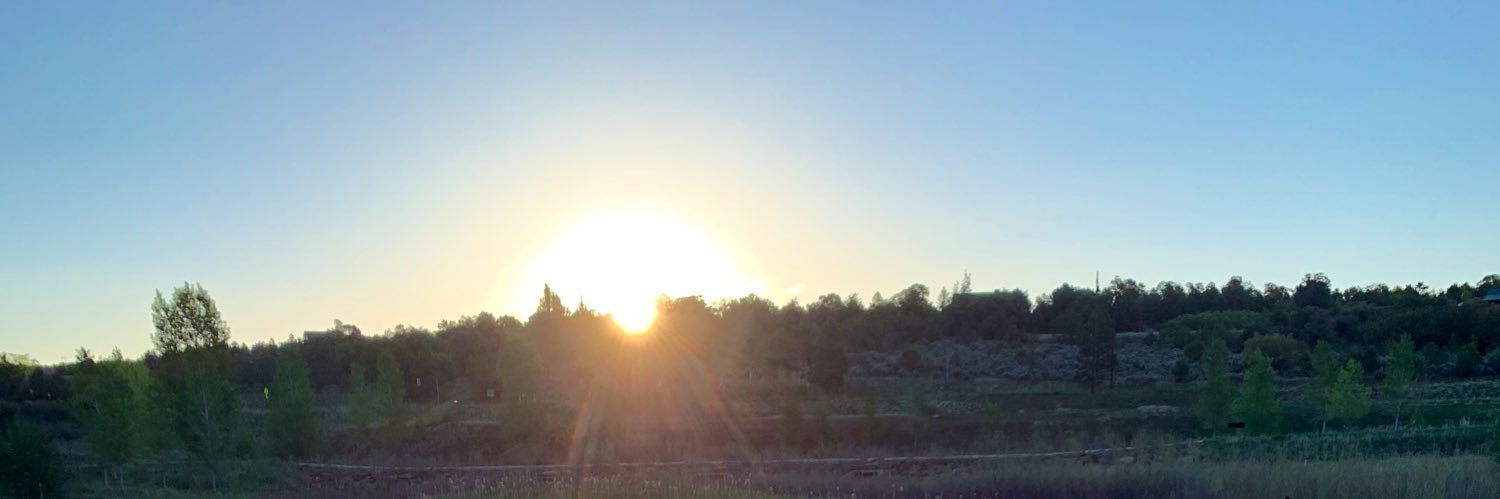 b_wolfblack's profile banner image