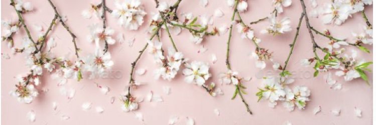 nicolebarronc's profile banner image