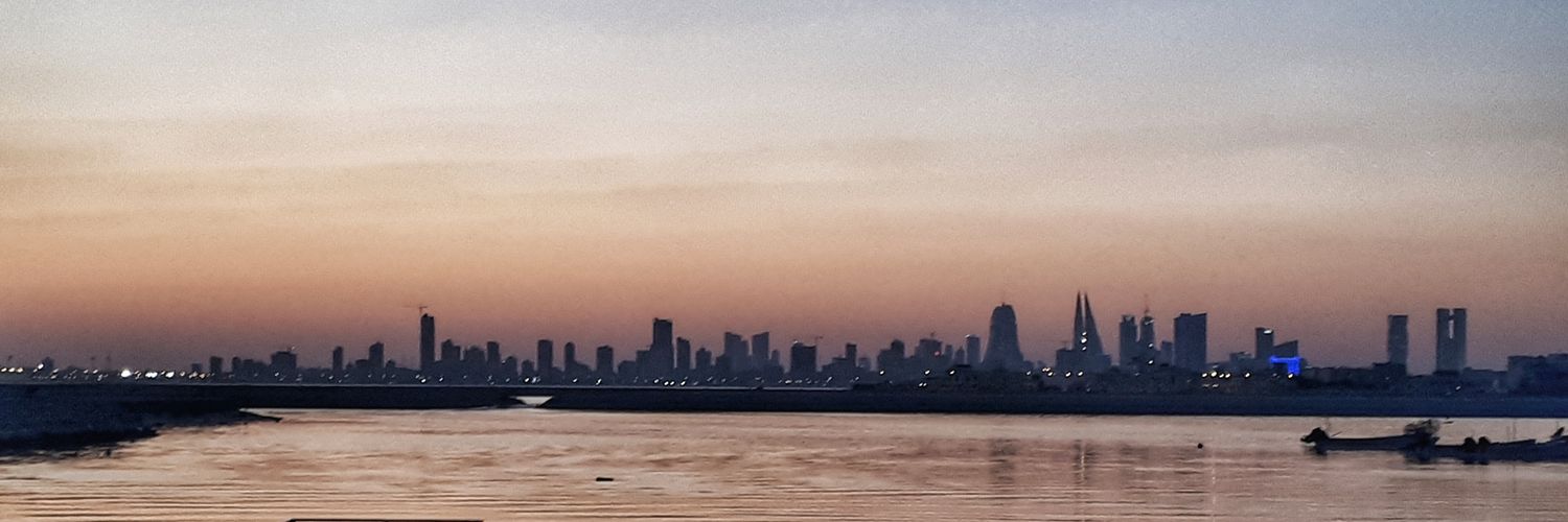 MJSeyadi's profile banner image