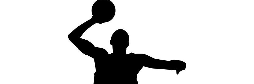 wpblbball1's profile banner image