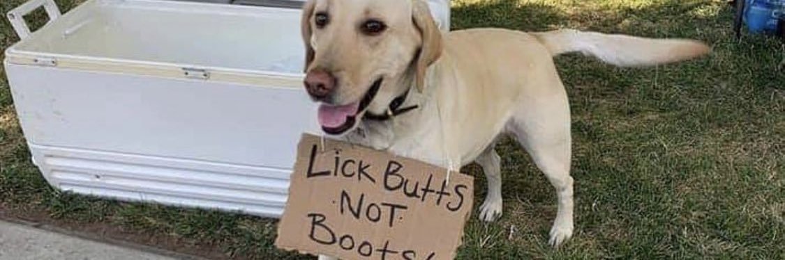 👻Spooky Ghost Dog 🏴‍☠️'s banner