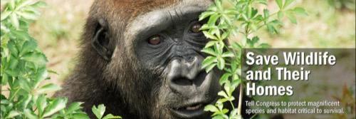 14kamore's profile banner image