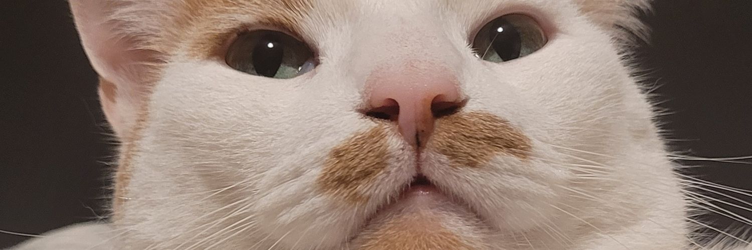 petrastwitshit's profile banner image