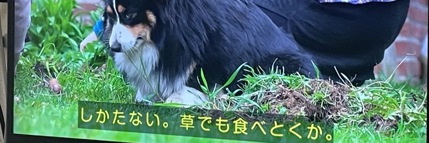 ja111981's profile banner image