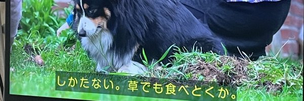 ja111981 Profile Banner