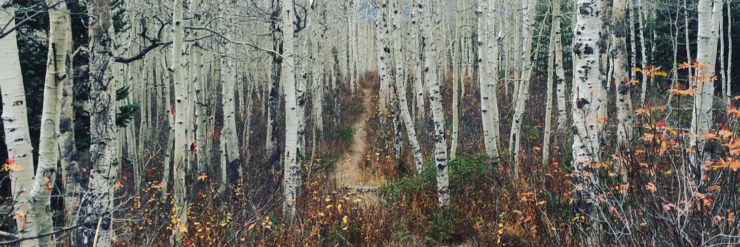 alex_blanke's profile banner image