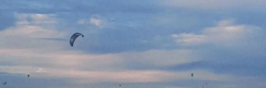 mmmicavi's profile banner image