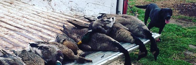 Hunter_Wolfe44's profile banner image