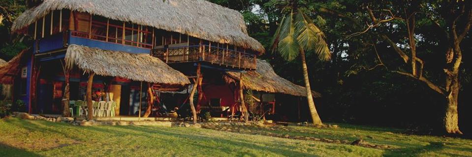 vaca_azul's profile banner image