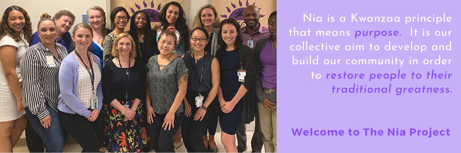 Nia Project banner