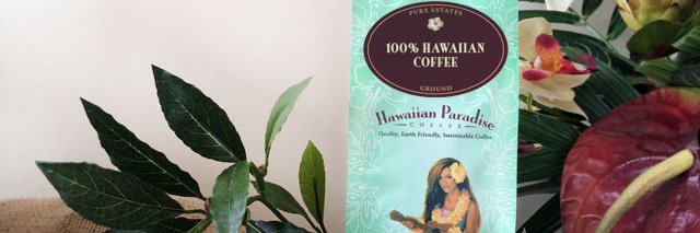 HwnParadise's profile banner image