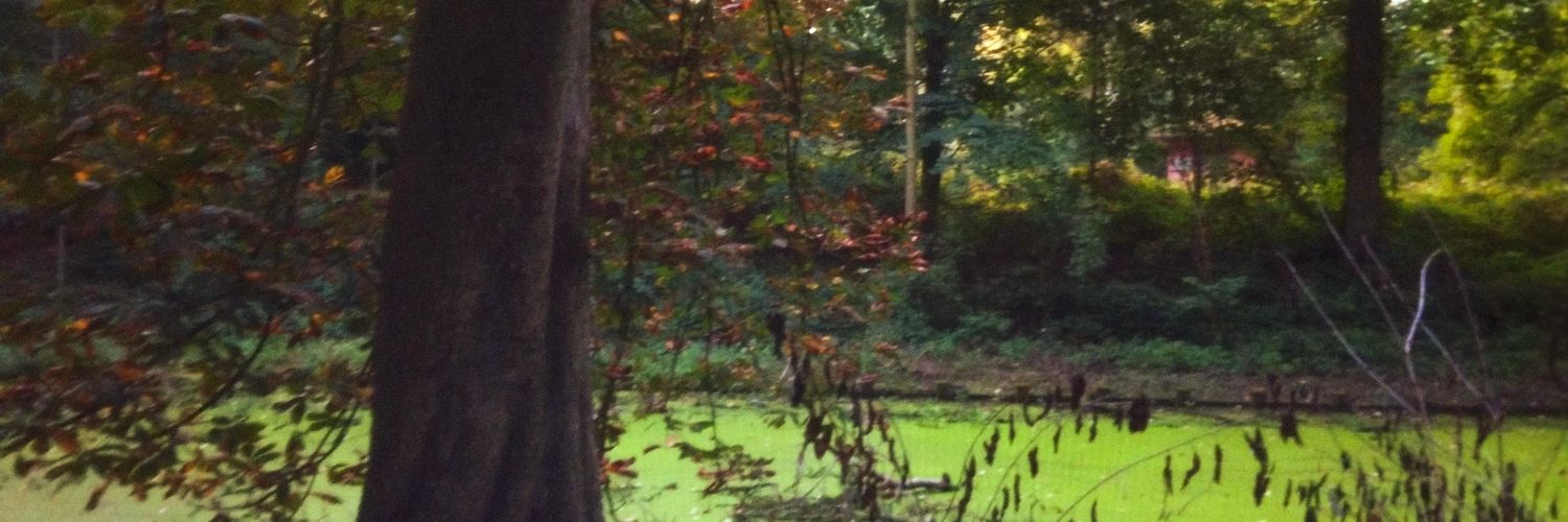 ClacMerde's profile banner image