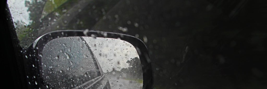 t s u i banner