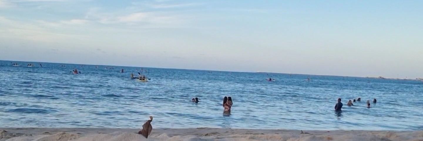 IsmaelFurtado02's profile banner image