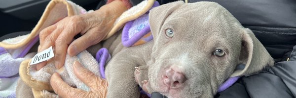 basquery Profile Banner