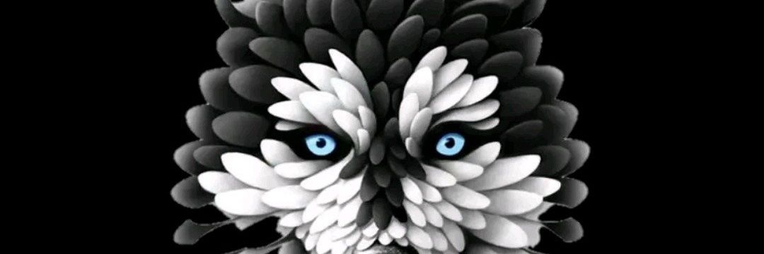 Mr. K 🇩🇴 banner