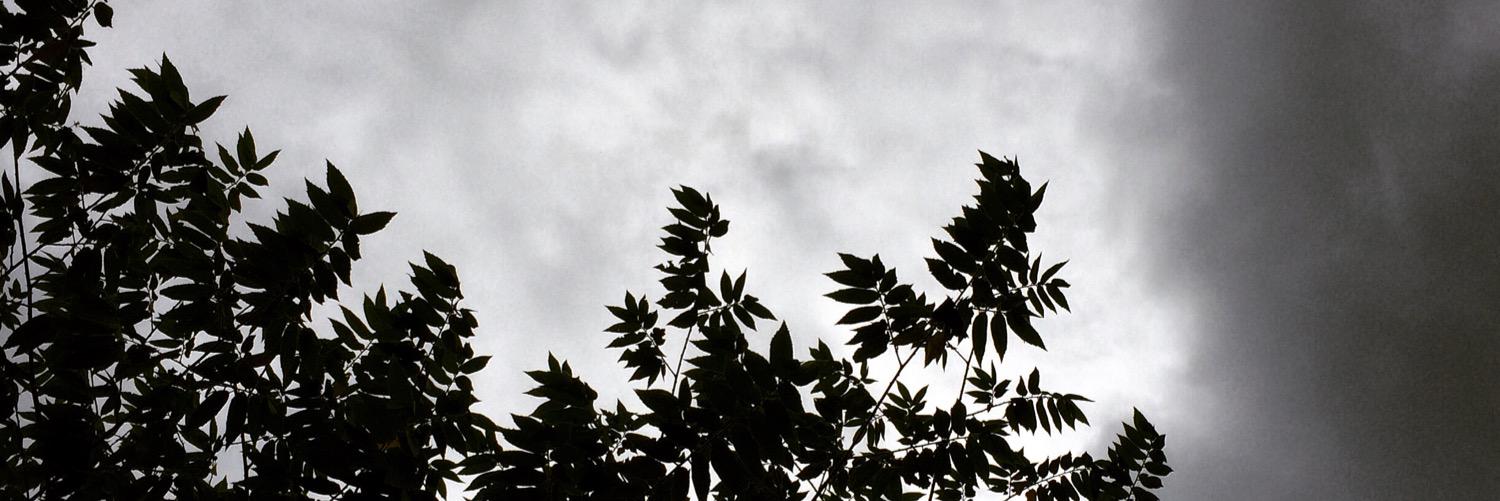amrinamar's profile banner image