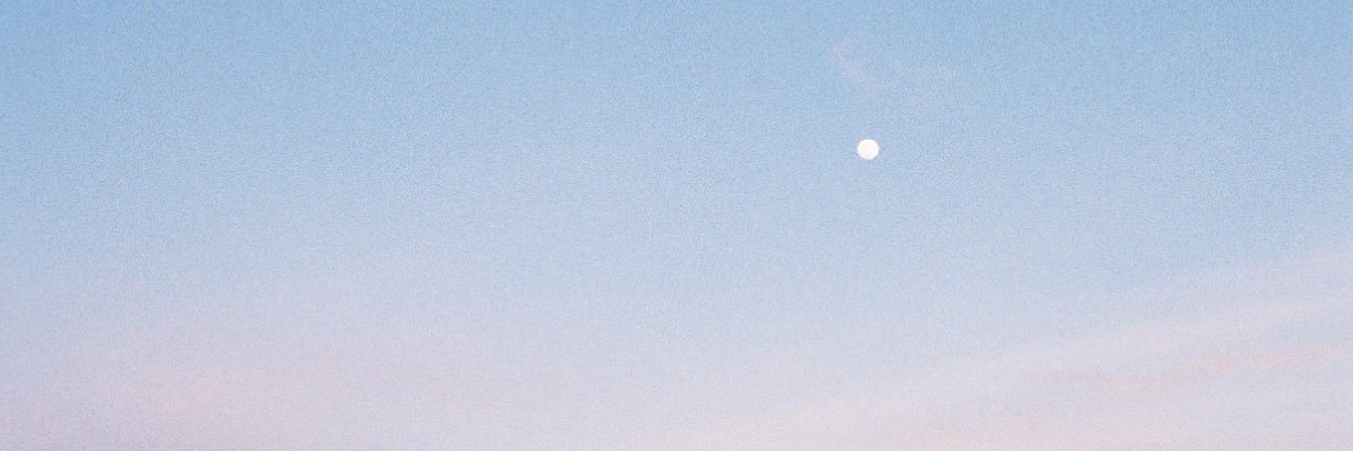 brklynnwvr's profile banner image