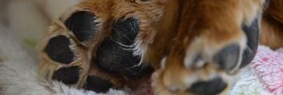 ya_ya53's profile banner image
