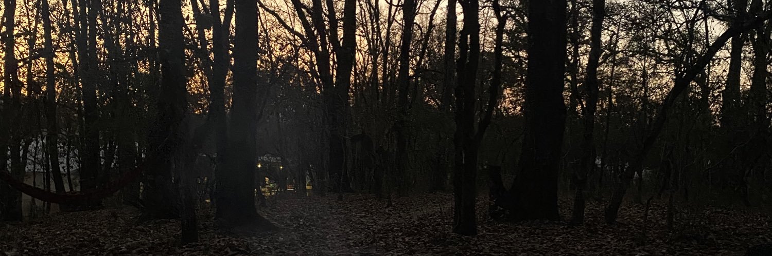 bapcubos's profile banner image