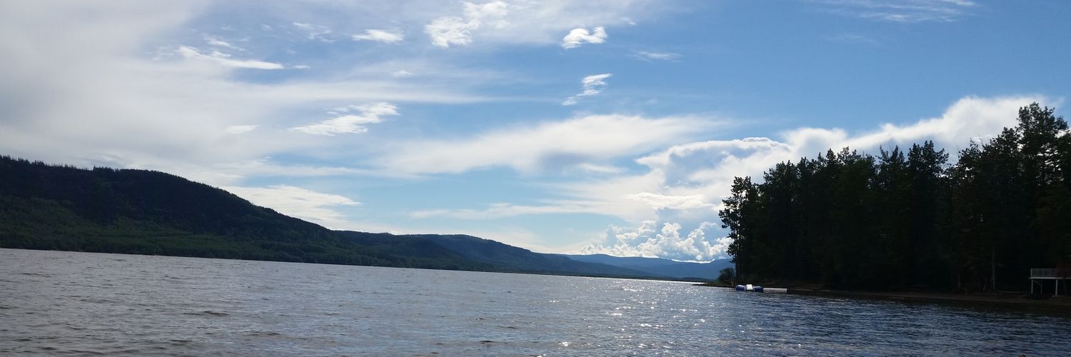 Sheese16's profile banner image