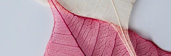 mk334455's profile banner image