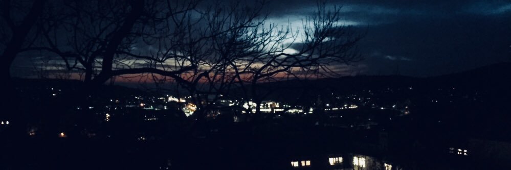 NilsEngel37's profile banner image